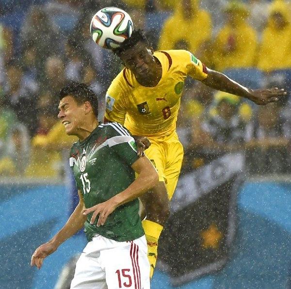 足球賽場 足球賽場