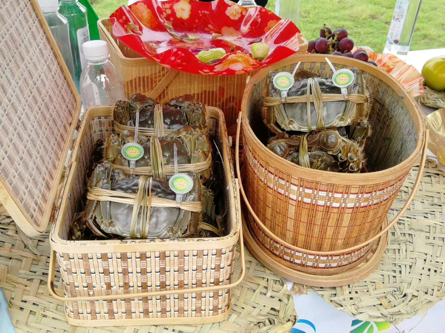 陽澄湖螃蟹 陽澄湖螃蟹