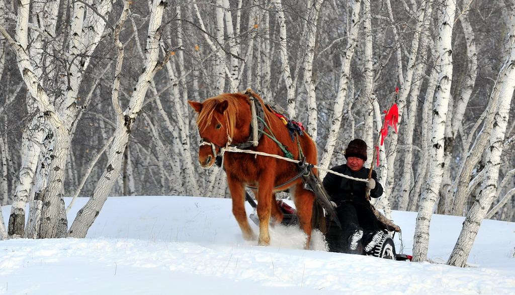一年四季,冬天是最后的一個(gè)季節(jié) 一年四季,冬天是最后的一個(gè)季節(jié)