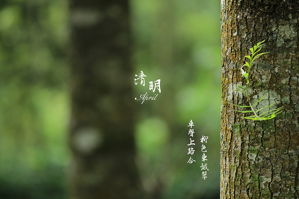 華燁篷房清明節(jié)放假安排 華燁篷房清明節(jié)放假安排